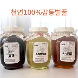 [Market Serafim] Gamdong Honey, Natural 100% Sobaeksan Natural Acacia Wildflower Chestnut Honey 2.4kg_Traditional, Antioxidant, Vitamin C_made in korea
